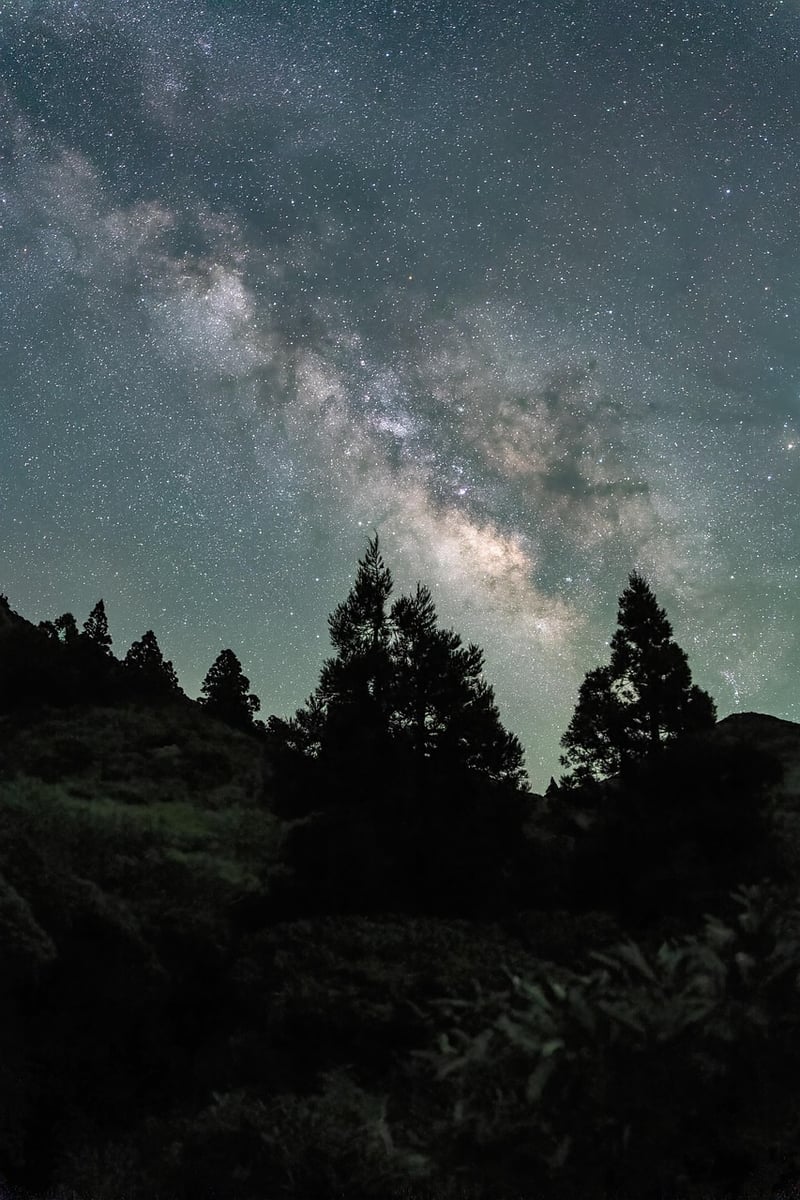 Starry Night Backdrop